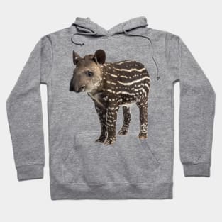 Cute Tapir Hoodie